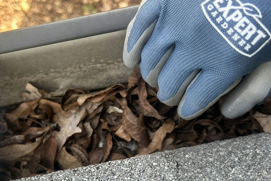 Gutter Cleaning Mandeville