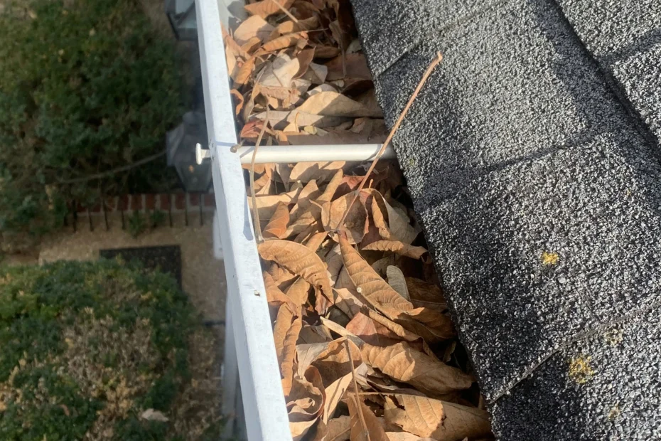 Gutter Cleaning Mandeville