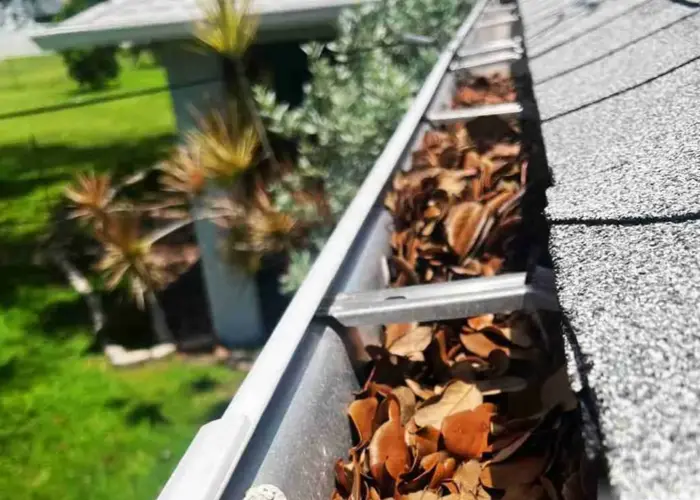 Gutter Cleaning Mandeville home page